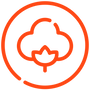 cotton.png